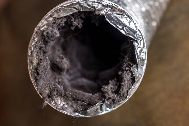 Best Local Air Duct Cleaning Services  in Harriman, TN