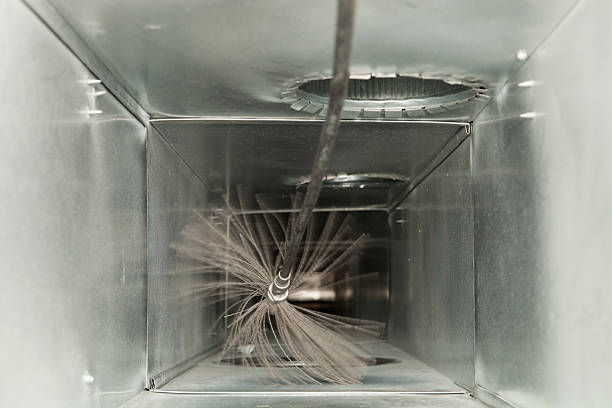 Best Air Duct Sanitizing Services  in Harriman, TN