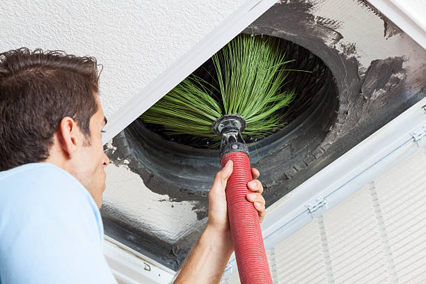 Best Home Air Vent Cleaning  in Harriman, TN